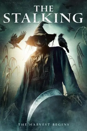 the-stalking-2024