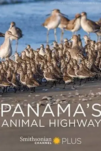 panama-s-animal-highway-2017
