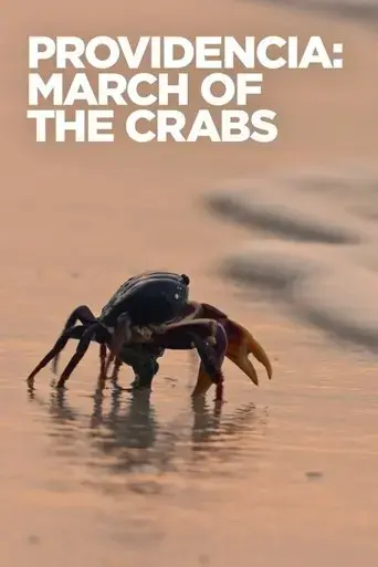 providencia-march-of-the-crabs-2020