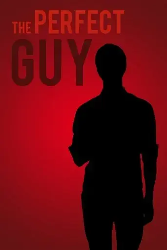 the-perfect-guy-2017