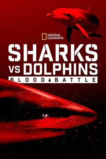 sharks-vs-dolphins-blood-battle-2020