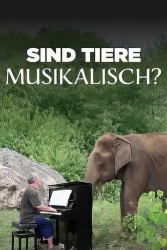 the-musical-animal-2024