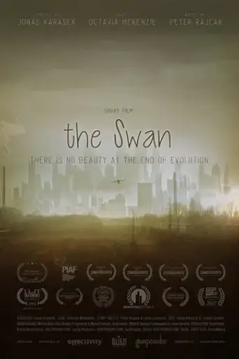the-swan-2017