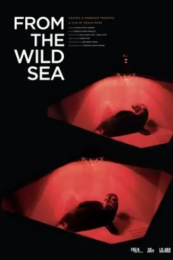 from-the-wild-sea-2021