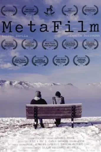 metafilm-2017