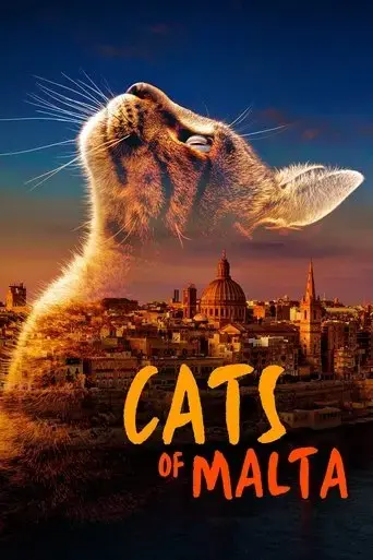 cats-of-malta-2022