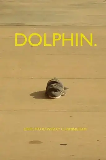 dolphin-2022