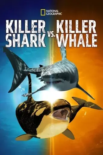 killer-shark-vs-killer-whale-2021