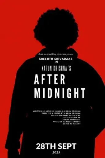 After Midnight (2025)
