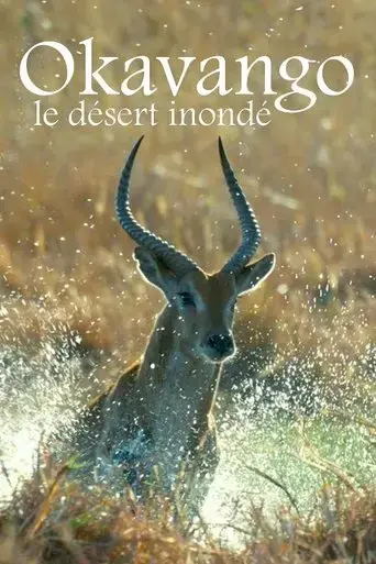 kalahari-the-flooded-desert-2021