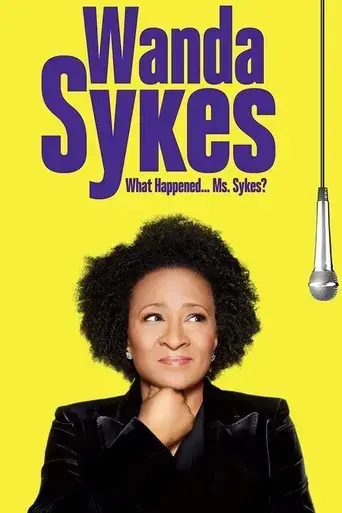 wanda-sykes-what-happened-ms-sykes-2016