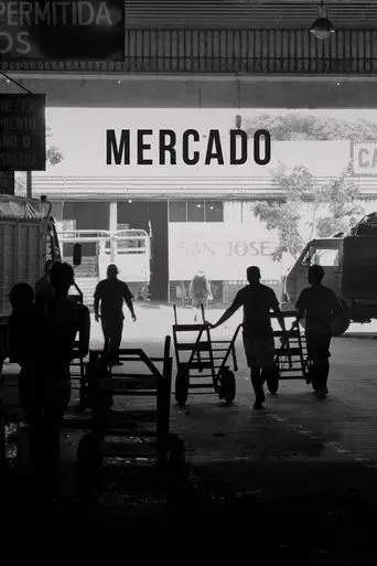 mercado-2016