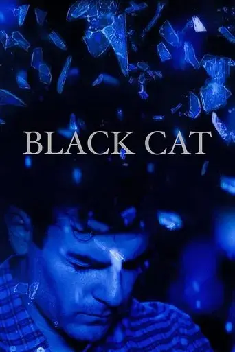 black-cat-2017