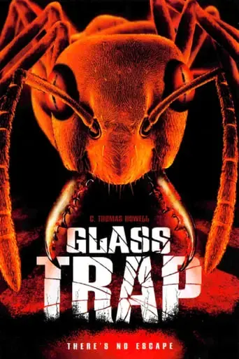 glass-trap-2005
