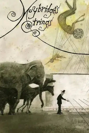 muybridge-s-strings-2011