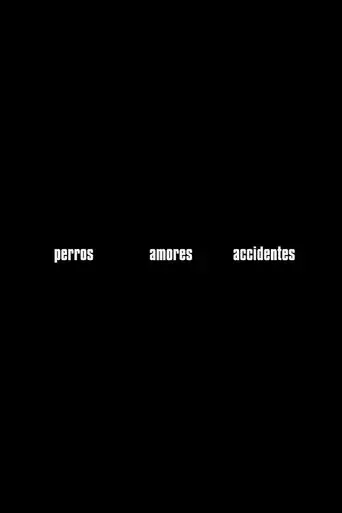 perros-amores-accidentes-2020