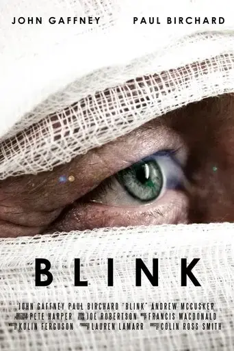 blink-2013
