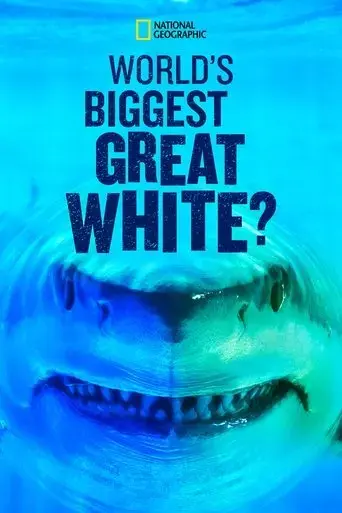 world-s-biggest-great-white-shark-2019