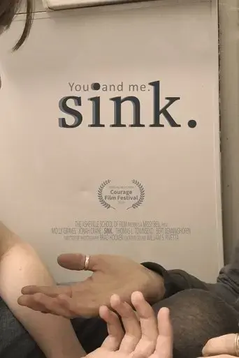 sink-2020