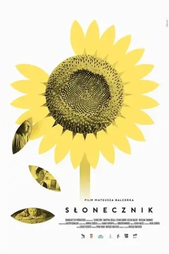 sunflower-2024