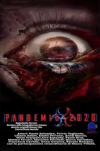 pandemic-2020-2024