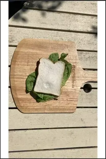 the-sandwich-2021