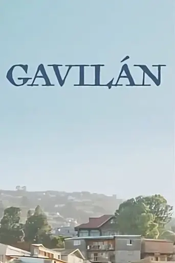 el-gavilan-pollero-2023