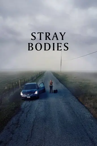 stray-bodies-2024