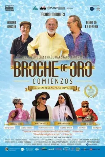 broche-de-oro-comienzos-2017