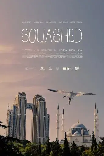 squashed-2024