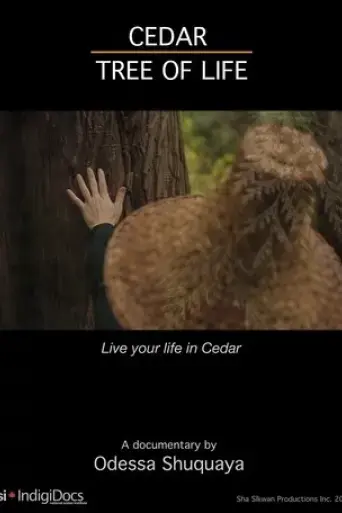 cedar-tree-of-life-2018