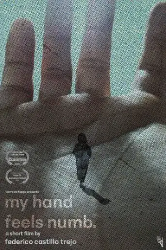my-hand-feels-numb-2025