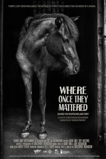 where-once-they-mattered-2015