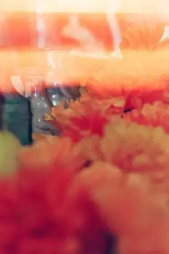 ofrenda-2024