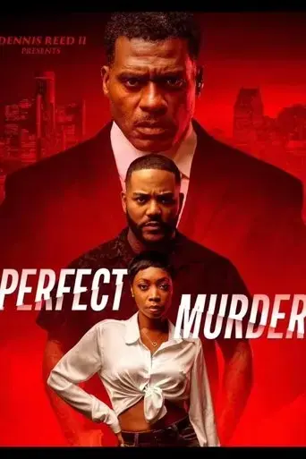 perfect-murder-2024