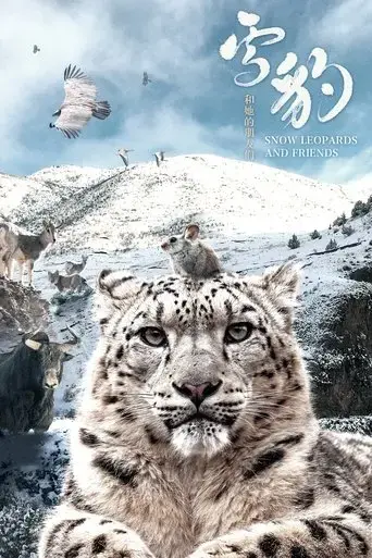 snow-leopards-and-friends-2023