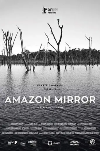 amazon-mirror-2022