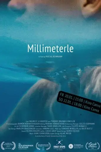 millimeterle-2017
