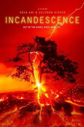 incandescence-2024