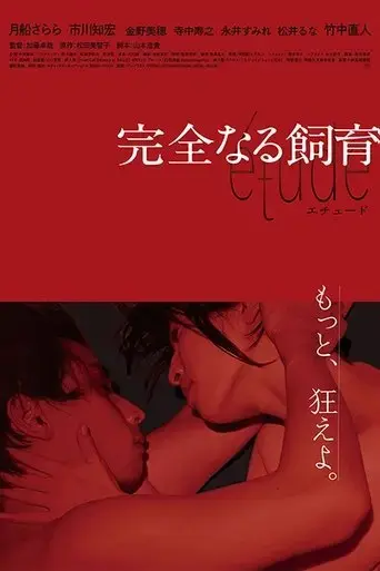 perfect-education-etude-2020