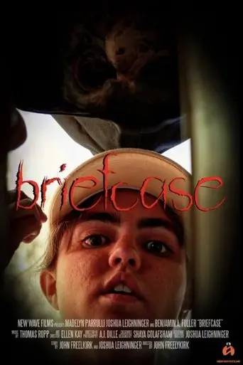 briefcase-2025