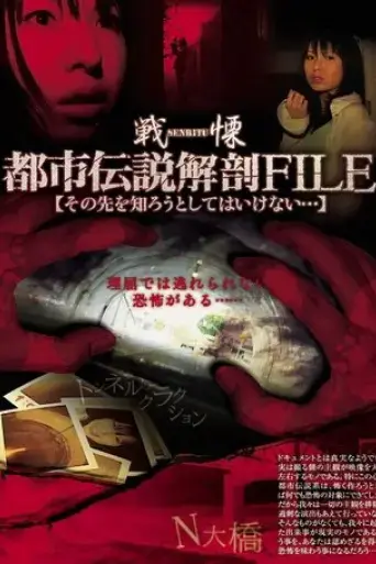 senritsu-no-toshi-densetsu-file-sono-saki-o-shirou-to-shite-wa-ikenai-2007