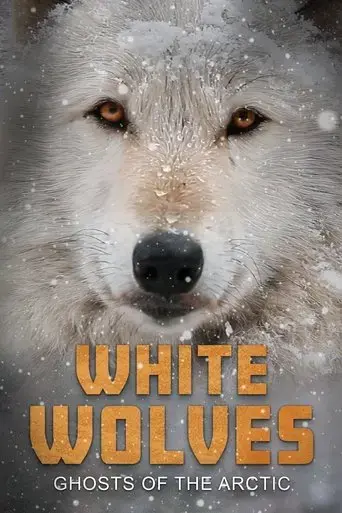 white-wolves-ghosts-of-the-arctic-2017