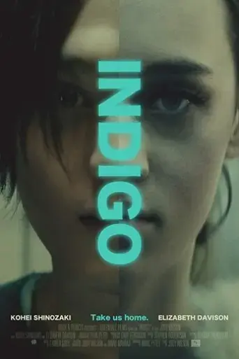 indigo-2016
