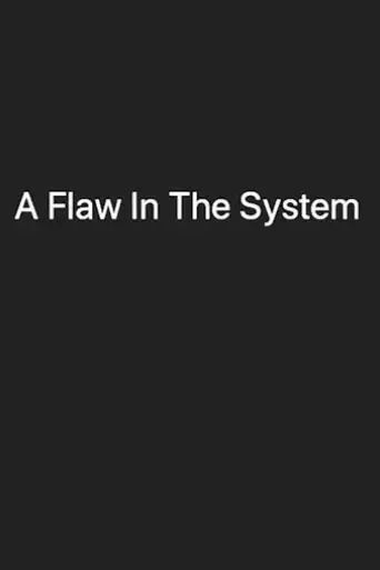 a-flaw-in-the-system-2020