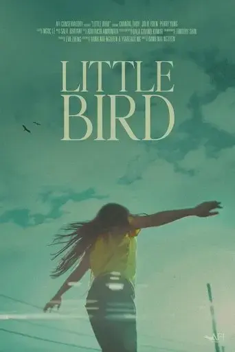 little-bird-2024
