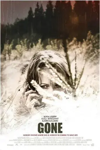 Forsvunnen (2011) Poster