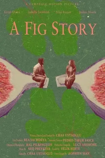 a-fig-story-2024