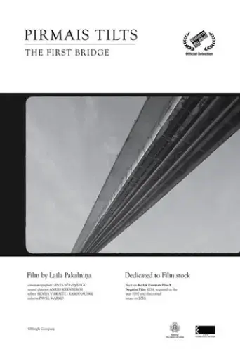 the-first-bridge-2020