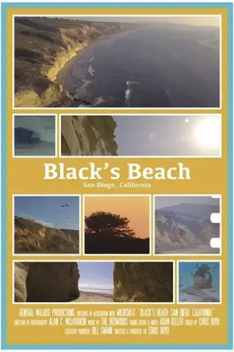 black-s-beach-2018